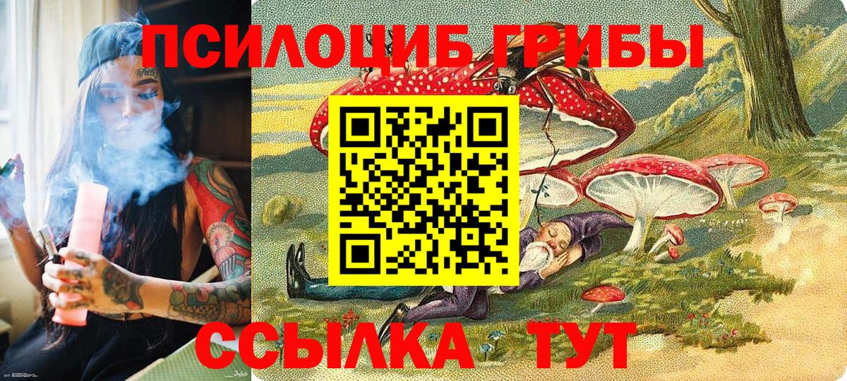 купить  сайты  Вход с VPN  Арсеньев  Галлюциногенные грибы Magic Shrooms 