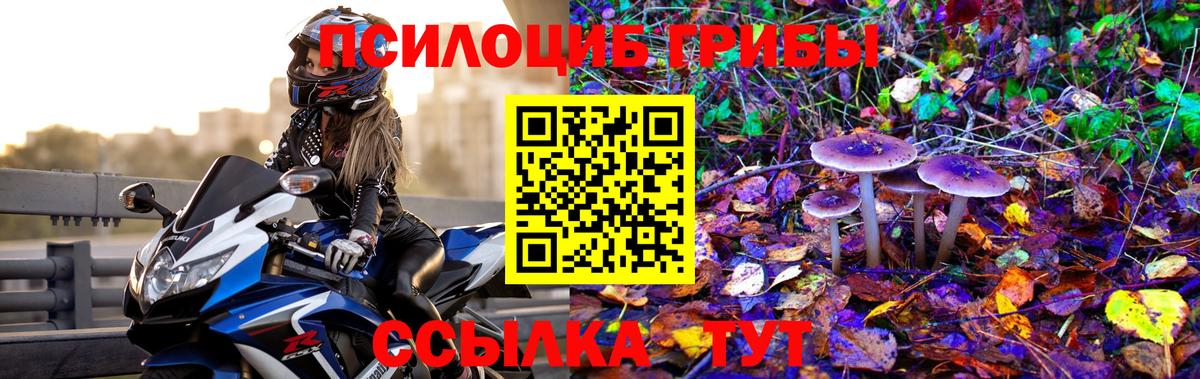 Псилоцибиновые грибы мухоморы Арсеньев